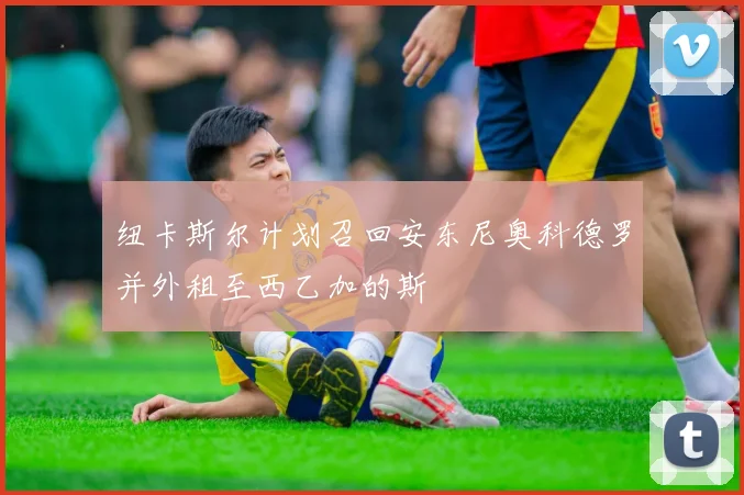 纽卡斯尔计划召回安东尼奥科德罗并外租至西乙加的斯