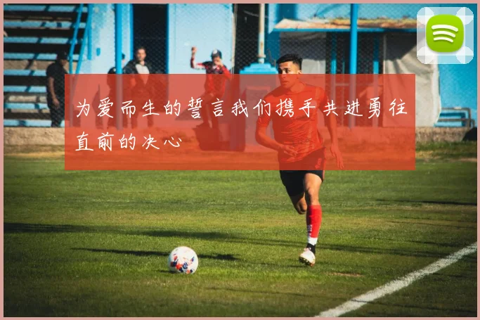 为爱而生的誓言我们携手共进勇往直前的决心