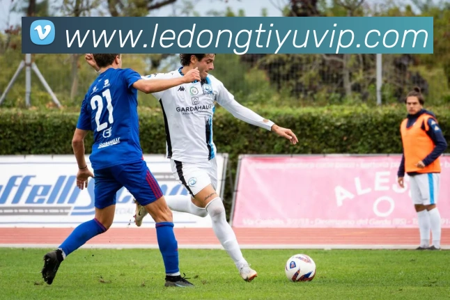 启程2026武汉三镇携手祝福愿大家新年快乐共迎美好未来